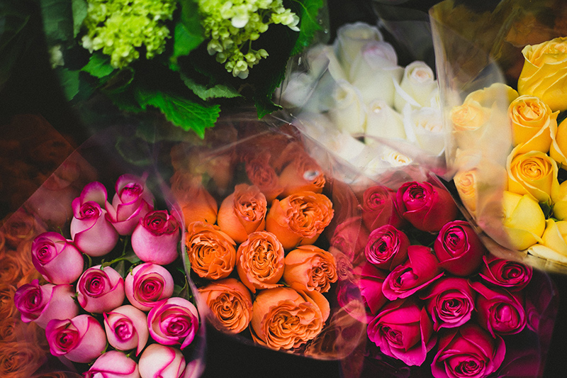 Flor para Géminis: Rosas