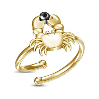 tienda online de anillos con signos zodiacales